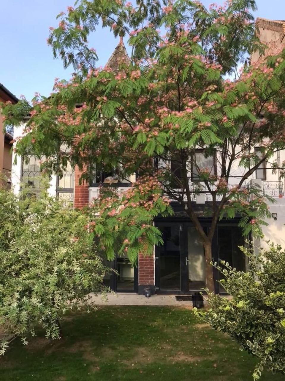 Passpartout Hostel Timișoara Zewnętrze zdjęcie